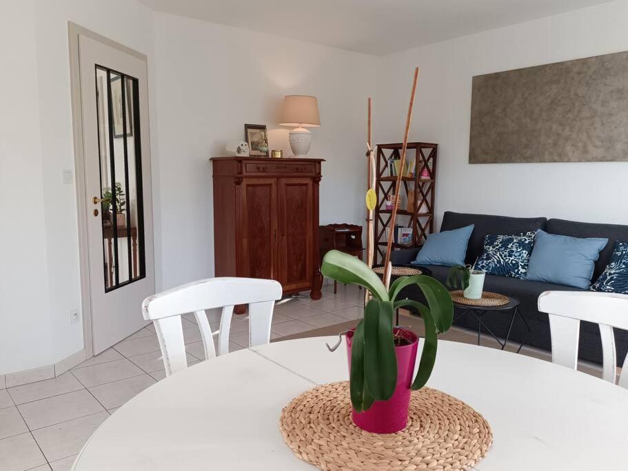 Apartament Strasbourg 3 Pieces Avec Jardin Brumath Zewnętrze zdjęcie