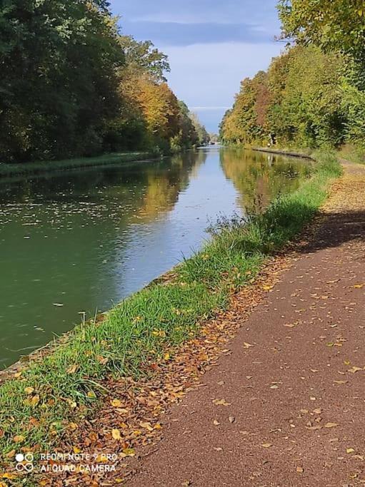 Apartament Strasbourg 3 Pieces Avec Jardin Brumath Zewnętrze zdjęcie